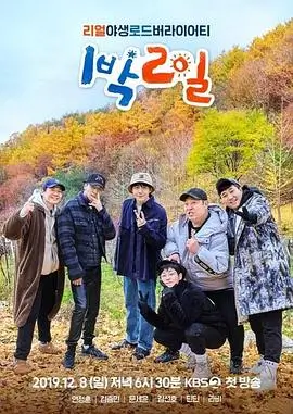 奔跑吧12 综艺 2024 第12季